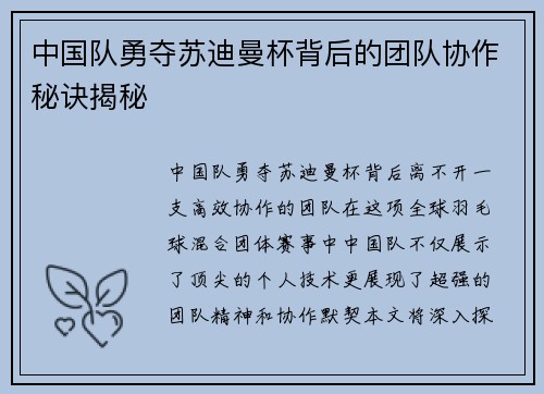 中国队勇夺苏迪曼杯背后的团队协作秘诀揭秘